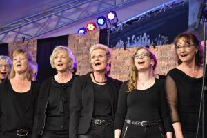 201805219SineNomine (121)