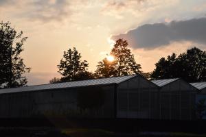 201805219SineNomine (163)